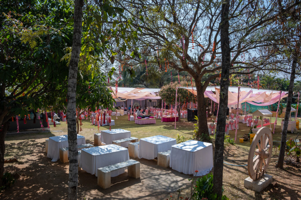 Maanya resort - Birthday party